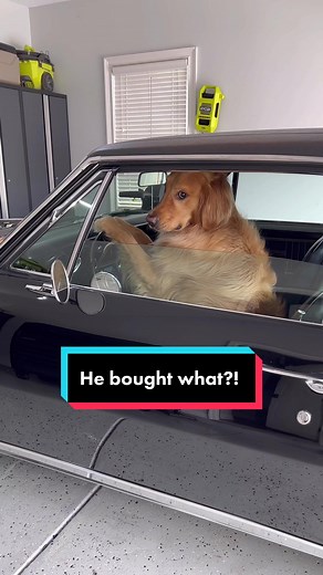 AGuyandAGolden on TikTok