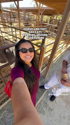 Visit This Perfect Farm in Las Vegas