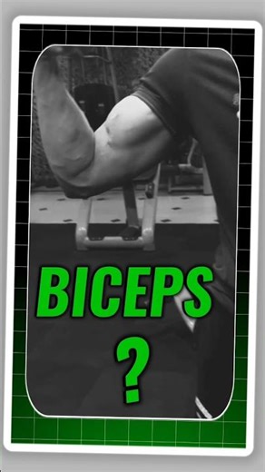 सिर्फ 3 महीने मे 2+ inch biceps बढ़ाये 💯 | biceps growth tips