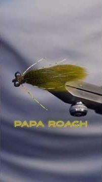 The Papa Roach…. (South African born fly patterns Series) #fishing #flyfishing #flytying