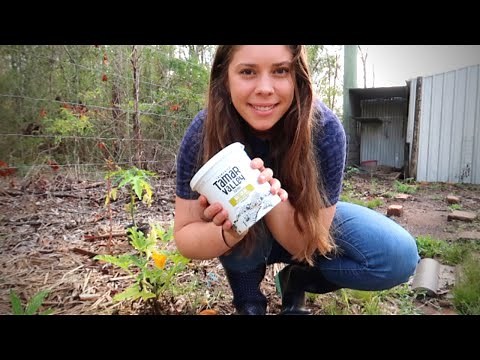 DIY Compost Bin Using Recycled Containers