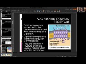 IB Cell Communication