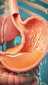 What Happens When You Eat Jelly on an Empty Stomach? 🍮 #facts #guthealth #education