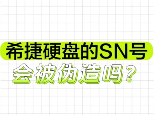 希捷硬盘的SN号会被伪造吗？用希捷seatools工具，检测一下是不是一致