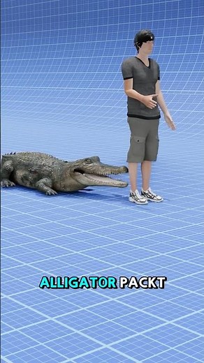 How to survive an alligator attack 🐊