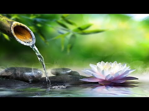 Bamboo Water Fountain Healing 24/7 自然の音とともに音楽をリラックス バンブーウォーターファウンテン 【癒し音楽BGM】