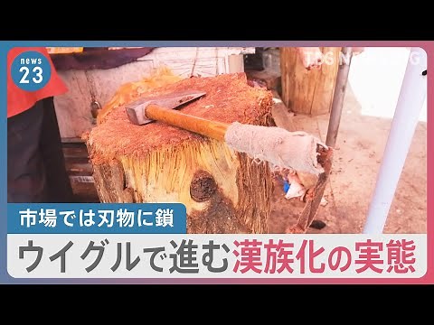 失われる宗教、言葉、尊厳… 記者が見たウイグルで進む「漢族化」の実態 市場の刃物は鎖で繋がれ民家の玄関にはQRコードが…そのワケは？【NEWS23】