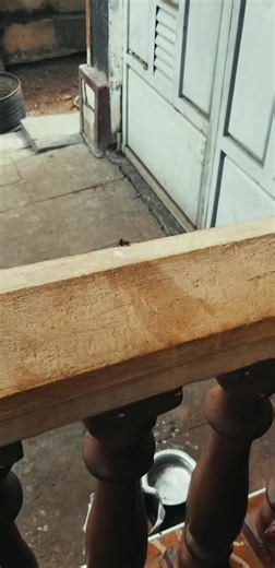 Silverpro (@silverpro11)’s videos with original sound - Silverpro