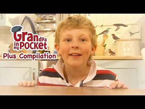 COMPILATION PLUS 220 | Grandpa in my Pocket | Bubbles & Squeak | Ebb & Flo | Kitten | Spider | Chase