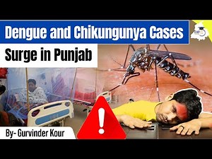 Punjab Health Alert 2025: Dengue & Chikungunya Cases Surge in Punjab | Epidemic Warning in Punjab