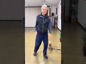 Radio Taiso morning exercise with Kawahatsu Sensei