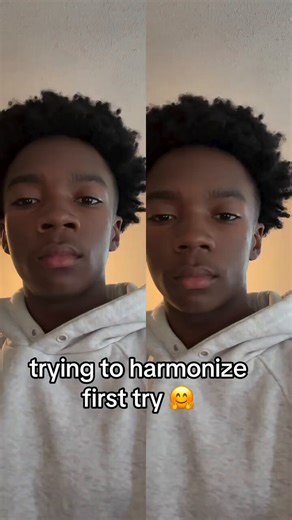 @2Ape0 unpopular opinion I can harmonize really really good