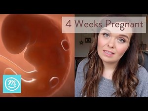 4 Weeks Pregnant: What You Need To Know - Channel Mum