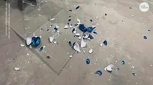 $40,000 Balloon dog sculpture knocked over by attendee at Miami art fair