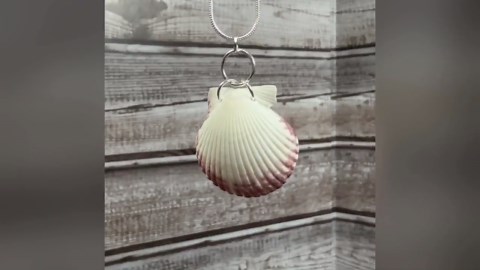 Calico Scallop Shell Pendant Necklace, Beachcombing Jewelry, Angel Design - Etsy