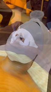 87 reactions | Our partnership with QMS Medicosmetics continues to evolve. Skin Spa Zimbabwe is proud to have certified QMS trainers and expert therapists offering advanced, collagen-boosting facials — by QMS Medicosmetics the world’s first 100% skin-identical collagen.  Call today to speak with one of our qualified therapists and book your facial. #QMSFacial #SkinSpaZimbabwe #CollagenInnovation #LuxuryFacials #QMSCertified #AdvancedSkincare | The Skin Spa Zimbabwe | Facebook