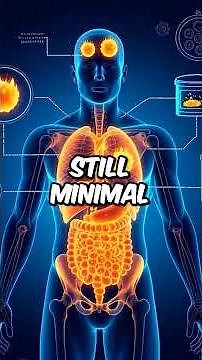 What Happens to Your Body During a 3-Day Fast ⏳ | Autophagy, Fat Burning & Brain Power