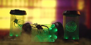 Full Line of ‘Alien: Romulus’ Merch from Regal Theatres Includes Popcorn Buckets & More!