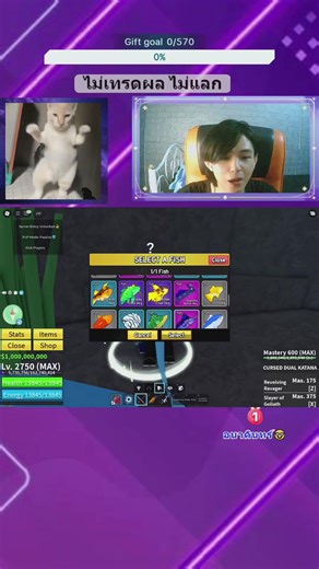 วิธีทำหมัด Shark karate V2 ใน Blox Fruits