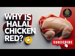 Why Is Halal Chicken Red? | Halal Slaughter Process Explained