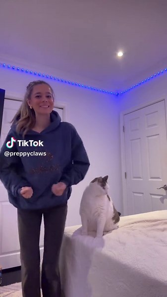 does your cat give high fives? 😼🦈 | huh cat meme