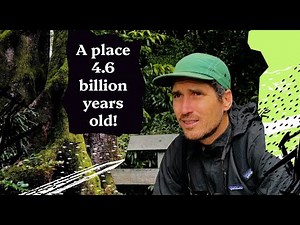 How Australia'a Gondwana Rainforest was formed