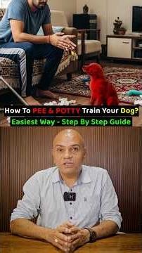 How To Susu and Potty Train Your Dog 🦮❓ Easiest Way - Step By Step Guide❗️