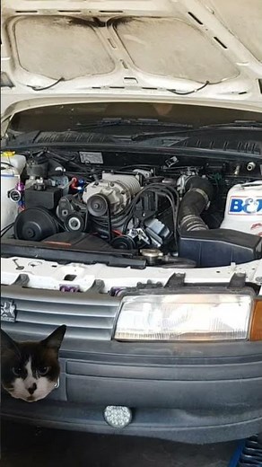 Supercharged & Cammed V6 Buick Vn Commodore With M62 Top Mount #holden #buick #cammed #dyno