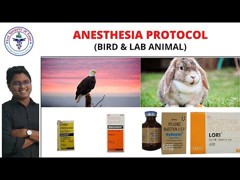 Bird & Lab Animal | Anesthesia Protocol | Lecture 02
