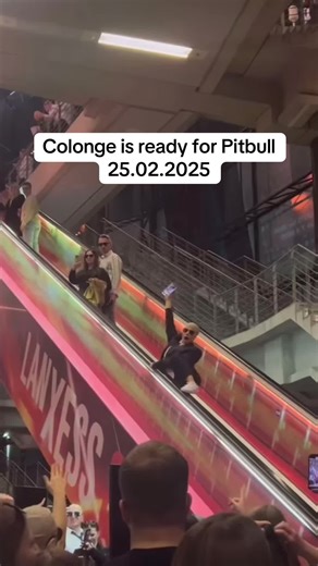 Pitbull Konzert in Köln 2025 - Lanxess Arena