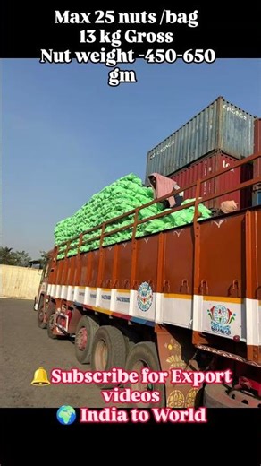 Semi Husked Coconut Are Exported Full Container Loading #exportbusiness #shorts