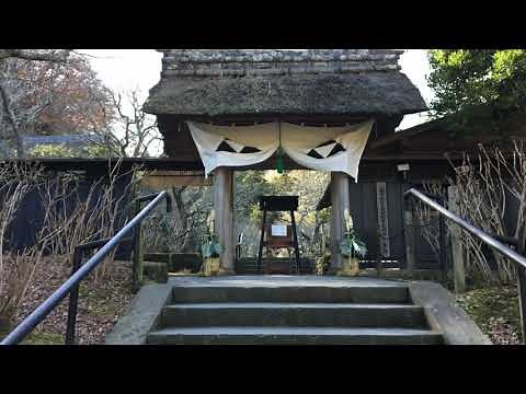 縁切寺（グレープ）