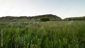 Time lapse - grass in breeze as sun light hits hills and meadow