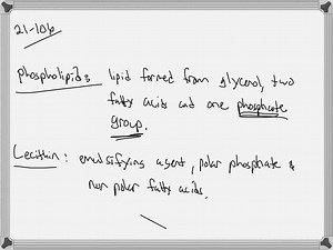 What is a phospholipid? How does the structure of a phospholipid differ from that of a triglyceride? What is the function of the phospholipid lecithin? | Numerade