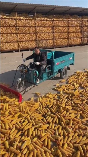 Amazing Farming Machine in Action 🚜💥 | JUST KD Agriculture | Part 2100