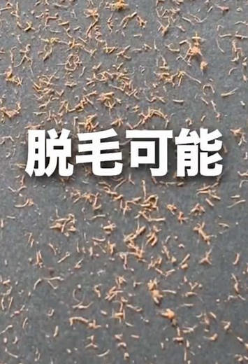 剛毛な毛でも脱毛できる！ナノガラス脱毛器の検証