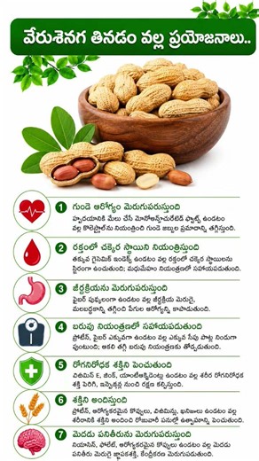 Facts of Eating Peanuts #shorts #ytshorts #peanuts