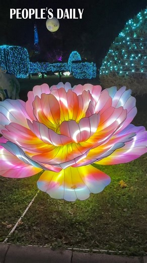 Flower-shaped lanterns burst to life across Beijing World Park, turning the night into a glowing wonderland. | People's Daily, China