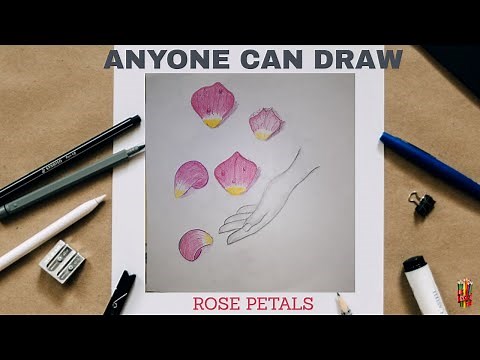How to draw a Realistic Rose Flower Petals Easy way/ Rose petals easy step by step in colour pencil