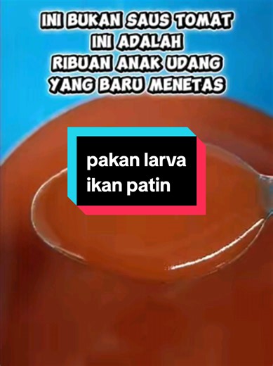 Artemia: Pakan Alami Terbaik untuk Larva Ikan Patin