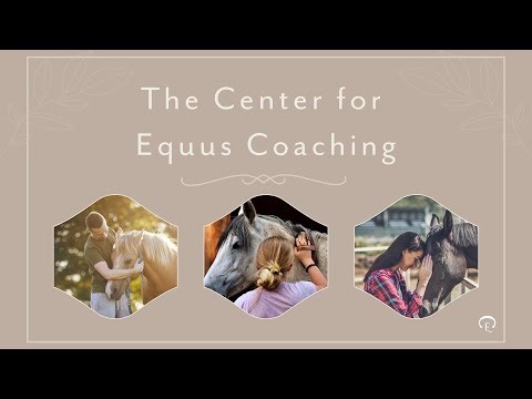 Meet the Equus Coaches | From Hollywood to the Herd: Elle Newlands’ Journey with Horses