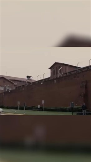 We explore a case from the execution chamber. The video highlights the emotional and ethical dimensions of capital punishment, focusing on an individual's intellectual disability and the legal hurdles faced in Texas. #DeathPenalty #CapitalPunishment #TexasJustice #LegalSystem #IntellectualDisability #CriminalJustice #TrueCrime #CourtCase #HumanRights #EthicalDebate | Real Stories