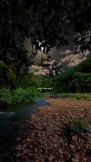 BTS Butterfly Lyrics Video with English Translation