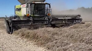Claas Lexion 7700 e @MacDon…Da @Duncan Humm #NewsAgricoltura | NewsAgricoltura