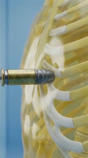 Anatomy of Impact: Human Body vs. Bullets💀 #shorts