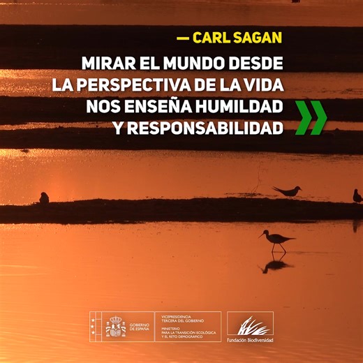 5.8K views · 154 reactions | Carl Sagan dedicó su vida a acercarnos el universo y mostrar cómo nuestra existencia está conectada con todo lo que nos rodea. Su trabajo inspiró a generaciones a cuidar el planeta y asumir un rol activo en su conservación  | Fundación Biodiversidad | Facebook
