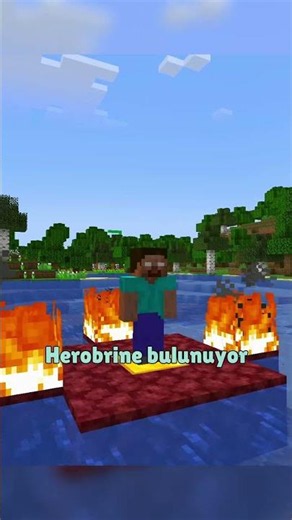 The MOST POPULAR Minecraft Skins !!