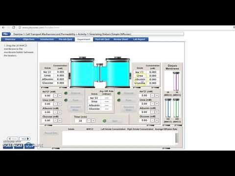 Introducción Physioex