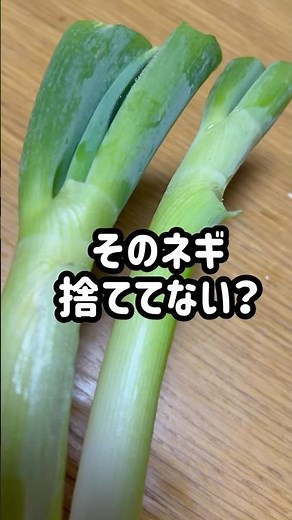 ネギの青い部分、捨ててない？これが1番うまい。 #簡単レシピ #ままごとキッチン #主婦の味方 #ワンパンレシピ #まいにちごはん #おうちごはん #時短節約 #節約ごはん #自炊 #今日の晩ごはん