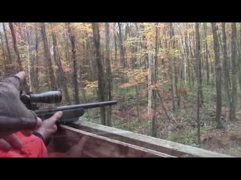 My first buck! - edited